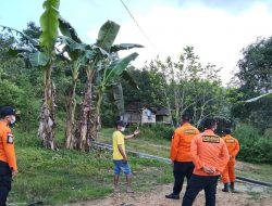 Cari Kayu, Perempuan Berusia 60 Tahun Dilaporkan Hilang di Hutan Konawe