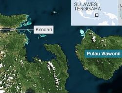 Sidang di MK, Ahli Masyarakat Wawonii Konkep Tegaskan Pulau Kecil Bahaya Untuk Pertambangan