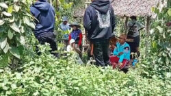 Tangis Pedih Seorang Ibu saat Lahan Kebunnya di Konsel Diduga Diserobot PT Merbau