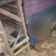 Judi Sabung Ayam di Kendari, Polisi Bekuk 6 Pelaku: Ada Tertangkap Saat Sembunyi dari Kandang Ayam. Foto: Istimewa.