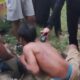 Viral! 2 Terduga Pelaku Pencurian di Kendari Ditangkap Massa, Ditendang dan Disetrum. Foto: Istimewa.