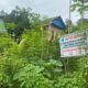 Warga Tunggala Kendari Kaget, Tanah yang Dibeli 2013 Tiba-Tiba Bersertifikat Atas Nama Orang Lain. Foto: Istimewa.