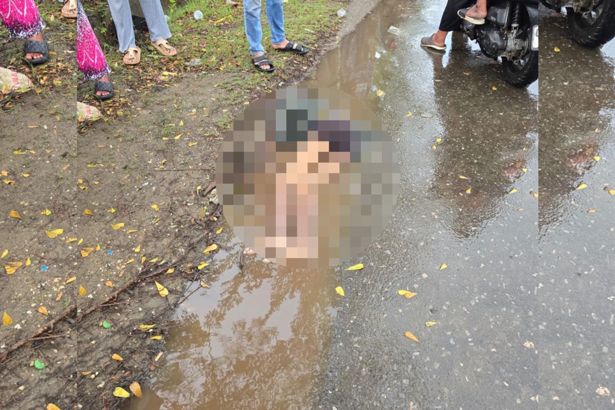 Geger Penemuan Mayat Pria di Jalur Poros Kolaka–Pomalaa, Diduga Korban Tabrak Lari. Foto: Istimewa.