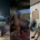 Perebutan Laki-laki Picu Duel Geng Remaja Perempuan di Kendari, 2 Pingsan Ditempat. Foto: Istimewa.